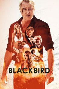 VER Blackbird Online Gratis HD