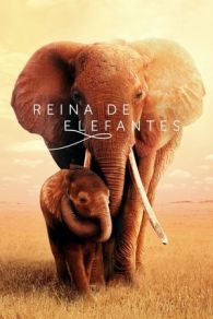 VER Reina de elefantes (2019) Online Gratis HD